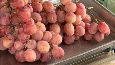 Balıkesir Kırmızı Üzümlerinin Sağladığı 7 Fayda