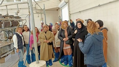 Kadın Üreticiler Manda Yetiştiriciliğinde Söz Sahibi