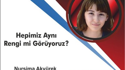 Hepimiz Aynı Rengi mi Görüyoruz?