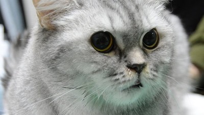 Balıkesir’de Mucize Tedavi, İlk Defa Uygulandı