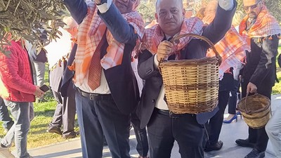 ETO Başkanı Çetin, Bergama Zeytin Hasat Etkinliğine Katıldı