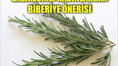 Biberiye Yağını Kullanmanız İçin 5 Sebep