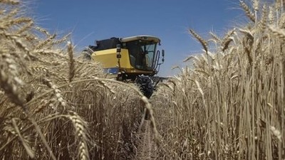 Tarım Ürünleri Üretici Fiyat Endeksi Artışta