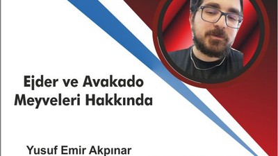 Ejder ve Avokado Meyveleri Hakkında