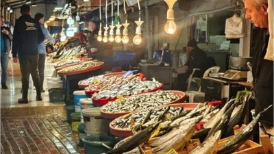 Bandırma'da Palamut Yerini Bakın Hangi Balıklara Bıraktı