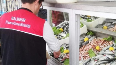 Balıkesir’de Balıkçılara 1380 Sayılı Kanun Denetimi!