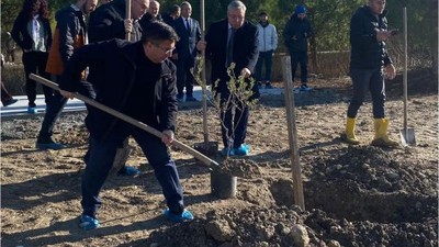 BAÜN'de Zeytin Fidanları Toprakla Buluştu