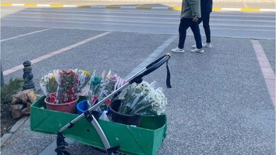 Bebek Arabasında Çiçek Açan Kazanç