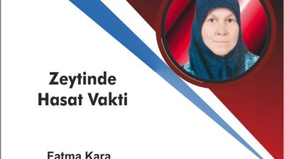 Zeytinde Hasat vakti