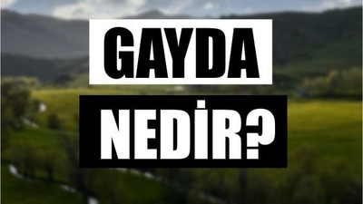 Gayda Nedir?