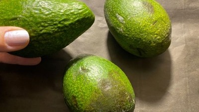 Balıkesir'de Olgunlaşmış Avokado Böyle Anlaşılıyor