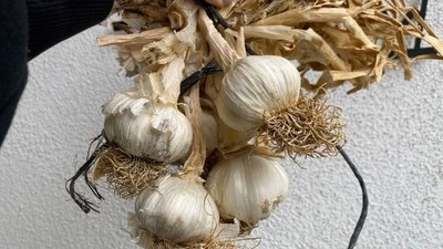 Balıkesir'in Sofralarında Doğal Lezzet