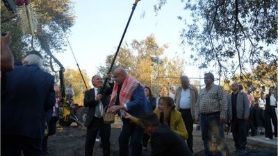 Bin Yıllık Ağaç Zeytin Verdi!