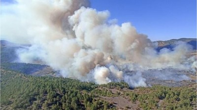 Balıkesir ve Bursa Sınırında Yangın!
