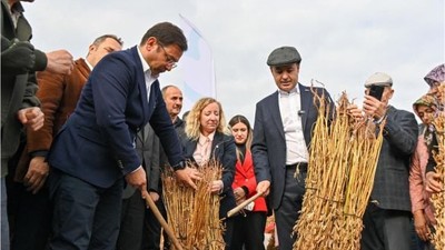 Balıkesir’de İlk Kez! Susam Üreticilerine Müjde
