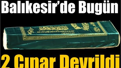 Bugün Balıkesir'de 2 Çınar Devrildi