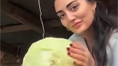Kış Aylarında Yumurta Vermeyen Tavuklara İlginç Yöntem!