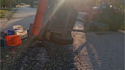 Zeytin Yüklü Traktör Kaza Yaptı! Yaralılar Var