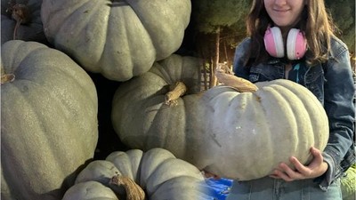Pazarın Gözdesi Bal Kabağı Ön Planda