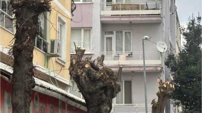 Balıkesir’de Yol Kapatılarak Ağaçların Tüm Dalları Kesildi
