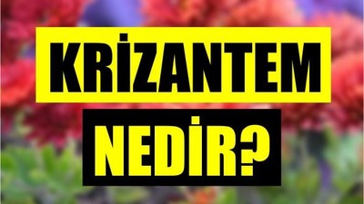Evinizde Bulunmaması Gereken Tehlikeler