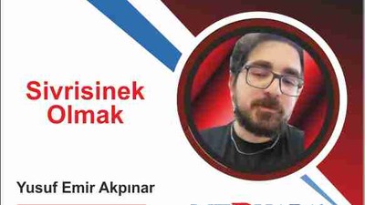 Sivrisinek Olmak