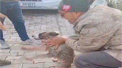 Gönen’de Feci Görüntüler! Köpeği Motora Bağlayarak Sürükledi