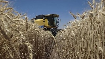 Tarım Ürünleri Üretici Fiyat Endeksi Artışta