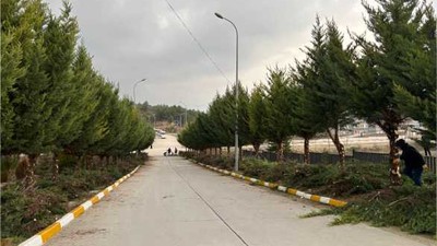 Balıkesir Üniversitesi’nde Ağaç Budama Çalışması Gerçekleştirildi