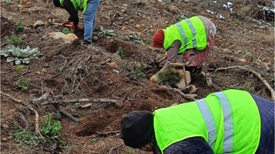 Bigadiç’te Beyaza Bürünen Toprağa Ektiler