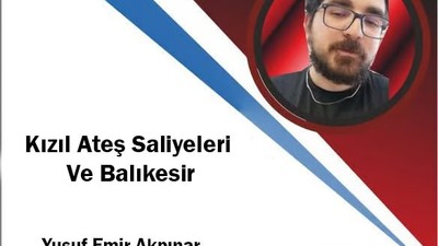 Kızıl Ateş Salviyeleri Ve Balıkesir