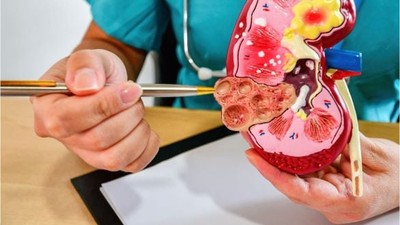 İdrar Yolu Hastalıkları Belirtileri