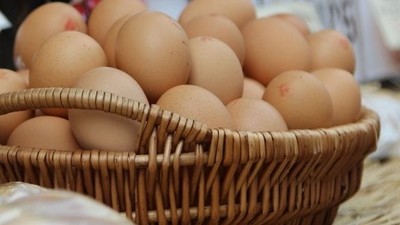 Balıkesir'in Doğal Köy Yumurtaları