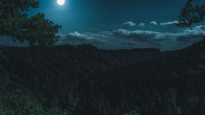 21 Aralık Gecesi Gelenekler ve Ritüeller
