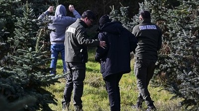 Ekipler 7/24 'Yılbaşı Ağacı' Nöbetinde