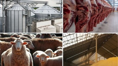 Susurluk Tarımda Yeni Bir Dönem Başlatıyor