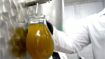 Zeytinyağı Fiyatları Ne Zaman Belli Olacak?