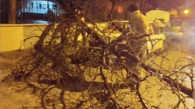 Fırtına Balıkesir'i Vurdu! Ağaçlar Devrildi Çatılar Uçtu