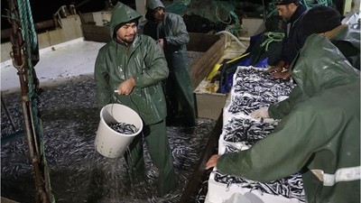 Balıkesirli Balıkçılar İğneada'ya Akın Etti