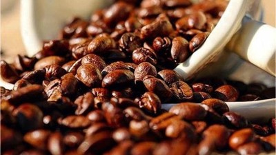 Bilim İnsanları Ömrü Uzatan Mucizeyi Keşfetti