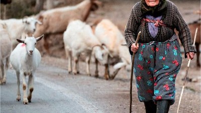 Sındırgı'da 1. Ulusal Fotoğraf Yarışması Sonuçlandı