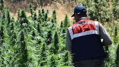 Balıkesir'de Zehir Tacirlerine Jandarma'dan Operasyon