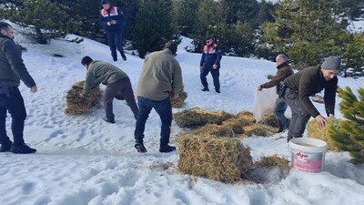 Kazdağları’nda Yaban Hayvanlarına Yem Bırakıldı
