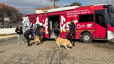 Paşa Limanında 5 Mahallede Tarama