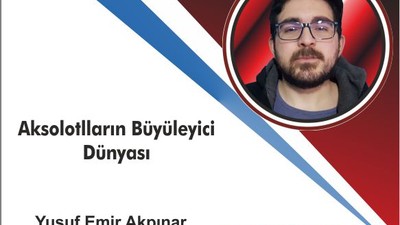 Aksolotlların Büyüleyici Dünyası