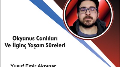 Okyanus Canlıları Ve İlginç Yaşam Süreleri
