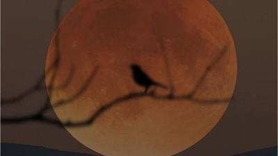 Ay Koç Burcunda: Cesaretinizi Artıracak Etkiler