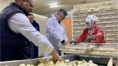 Türkiye’nin En Büyük Broiler Üssü Balıkesir'de