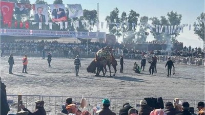 Pehlivan Develer Yılın İlk Güreşinde | 2025
