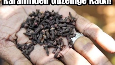Balıkesir'de Karanfil Güzelliğe Katkıda Bulunuyor!